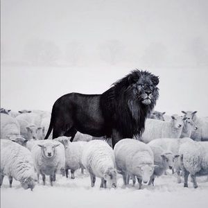 Meet your Posher, Robert